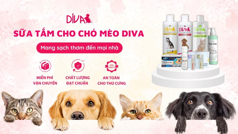 sữa tắm phú hợp cho chó