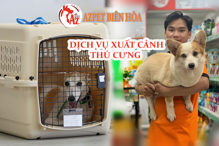 Thủ tục xuất cảnh thú cưng