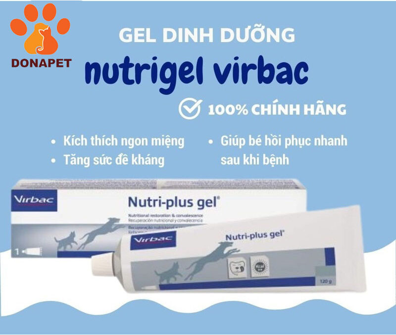 Gel dinh dưỡng cho chó mèo