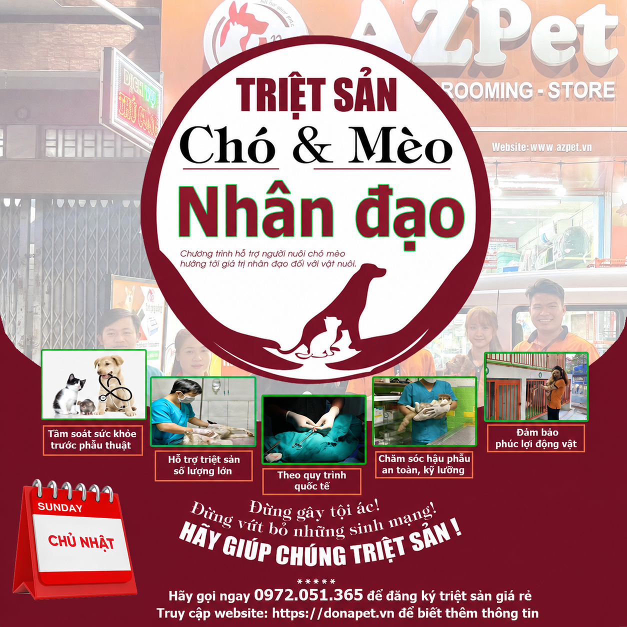 Triệt sản chó mèo