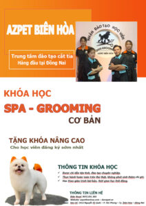 khóa học cắt tỉa lông chó mèo