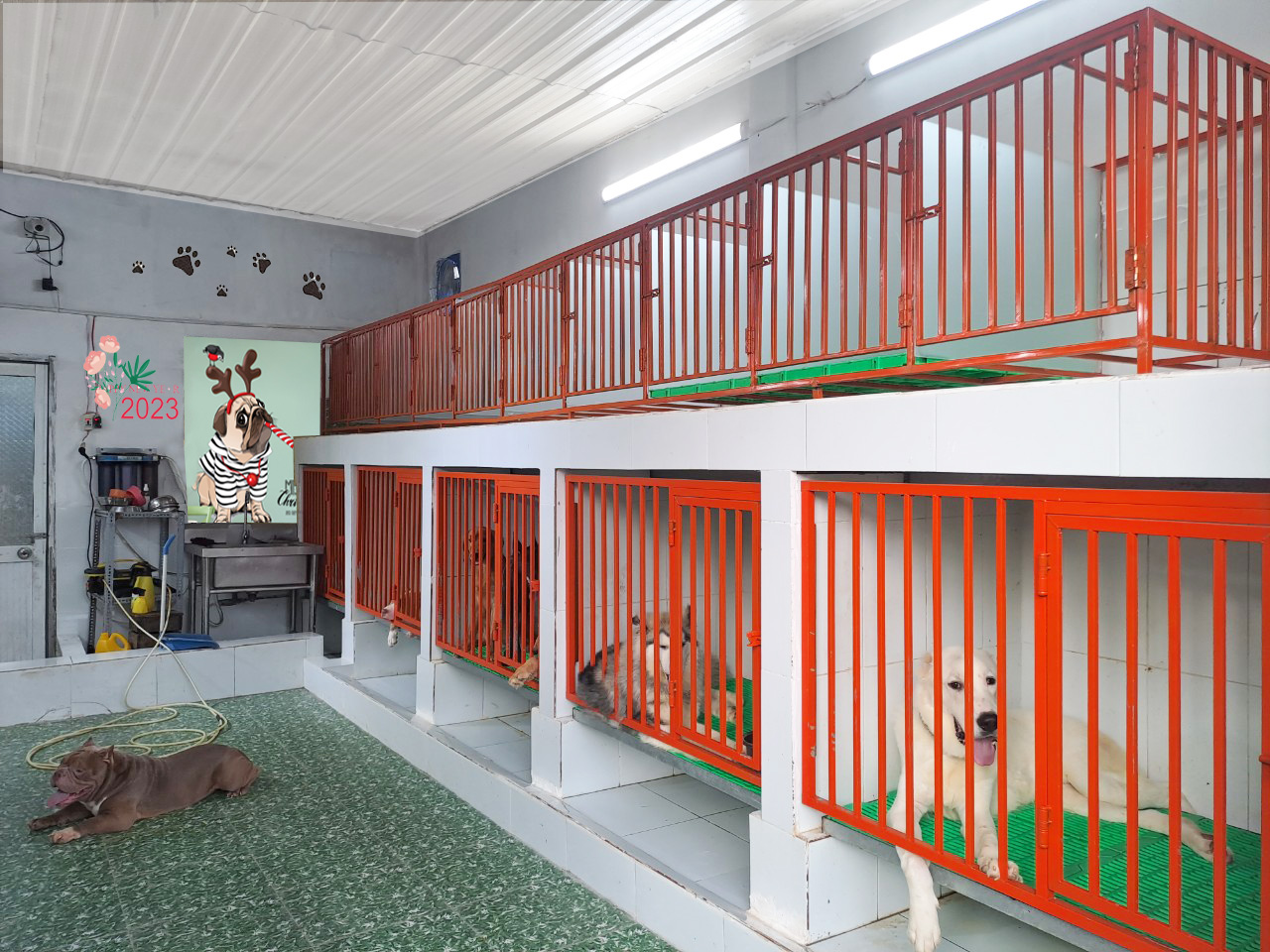 Khách sạn thú cưng
